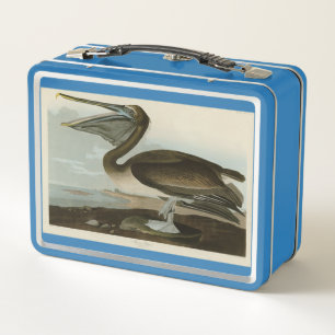 Brown Pelican from Audubon's Birds of America Metal Lunch Box