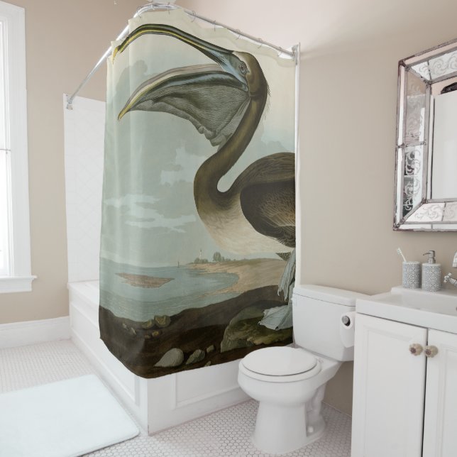 Brown Pelican from Audubon's Birds of America Show Shower Curtain (In Situ)