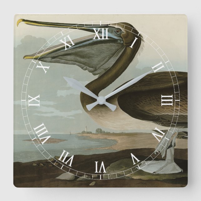 Brown Pelican from Audubon's Birds of America Square Wall Clock (Front)