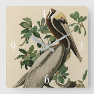 Brown Pelican from Audubon's Birds of America Square Wall Clock