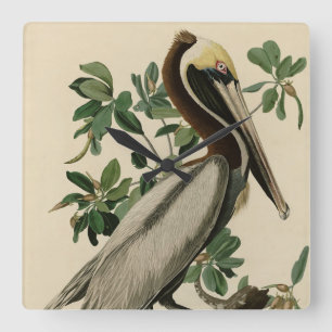 Brown Pelican from Audubon's Birds of America Square Wall Clock