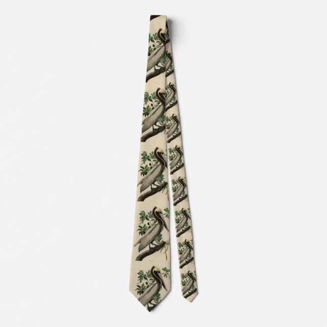Brown Pelican from Audubon's Birds of America Tie (Front)