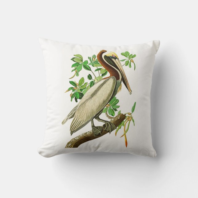Brown Pelican John James Audubon Birds of America Cushion (Front)