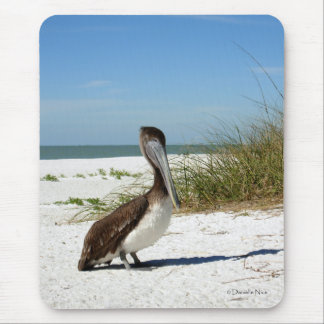 Brown Pelican Mousepad