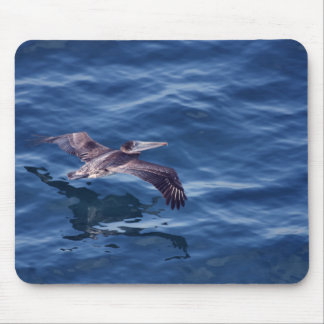 Brown Pelican Mousepad