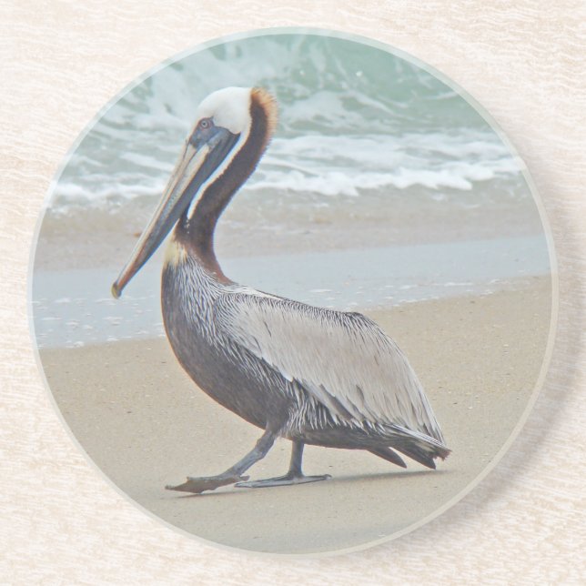 Brown Pelican on Beach Coaster (Front)