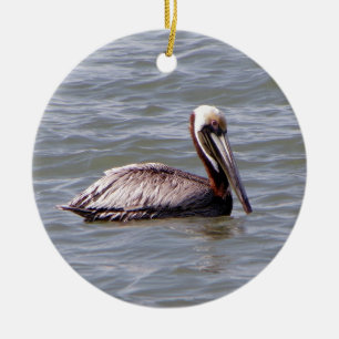 Brown Pelican ornament