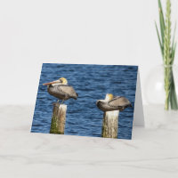 Brown Pelican Pair Roosting on Posts Greeting