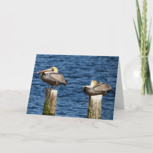 Brown Pelican Pair Roosting on Posts Greeting  Card