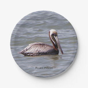 Brown Pelican paper plate