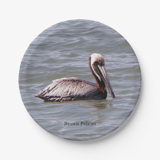 Brown Pelican paper plate (Front)