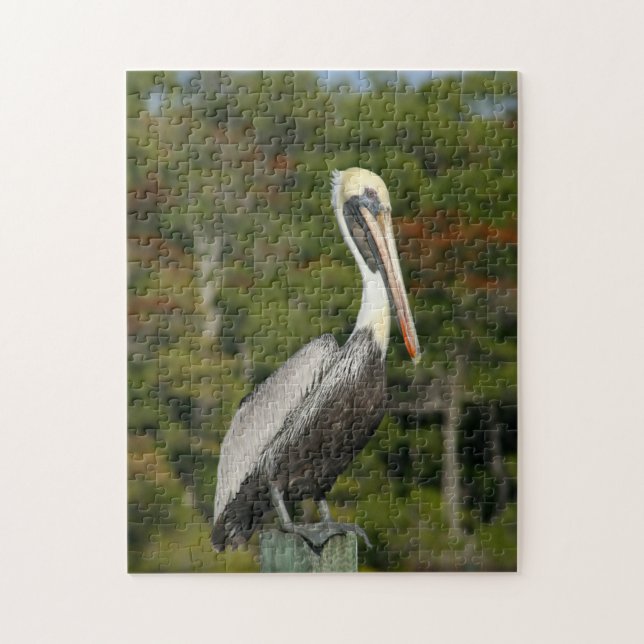 Brown Pelican Puzzle (Vertical)