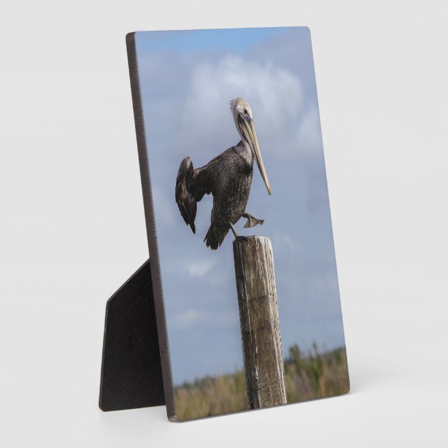 Brown Pelican Puzzle Plaque (Side)