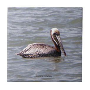 Brown Pelican tile