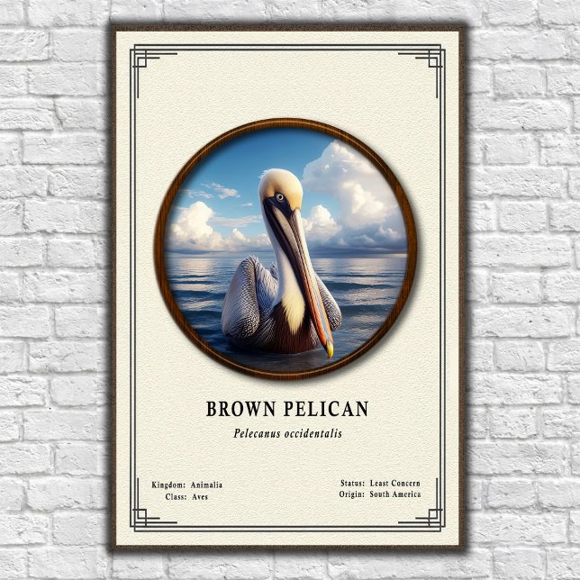 Brown Pelican Zoology Series Poster (Creator Uploaded)