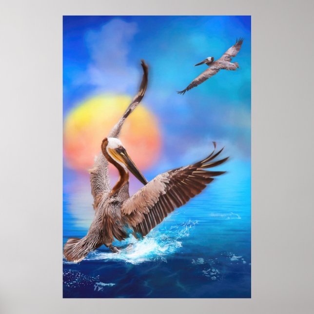 Brown Pelicans SUN KISSED ISLAND Poster (Front)