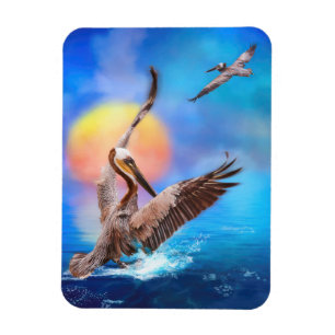 Brown Pelicans SUN KISSED PELICAN ISLAND Magnet