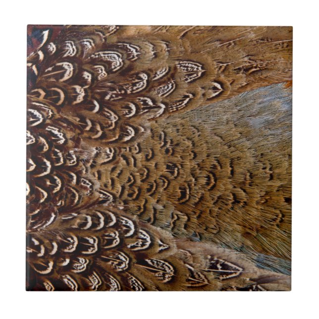Brown Pheasant Feather Design Tile (Front)