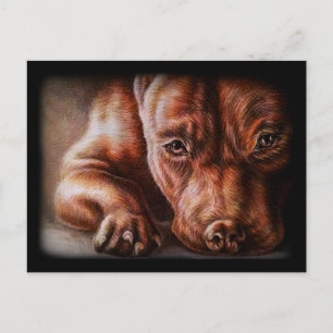 Brown pitbull face drawing of pet portrait dog postcard
