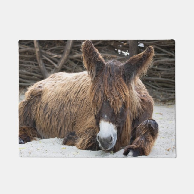 Brown Poitou Donkey Doormat (Front)