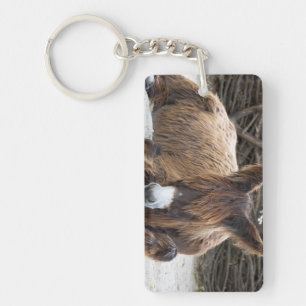 Brown Poitou Donkey Key Ring