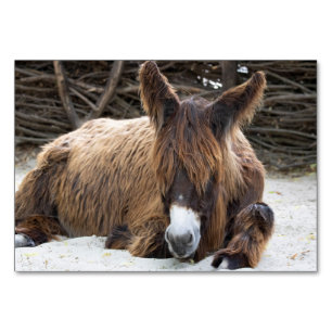 Brown Poitou Donkey Table Number