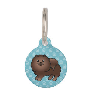 Brown Pomeranian Dog And Pet's Info Pet Tag