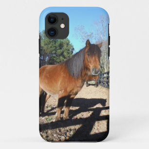 Brown pony turquoise Sky Case-Mate iPhone Case
