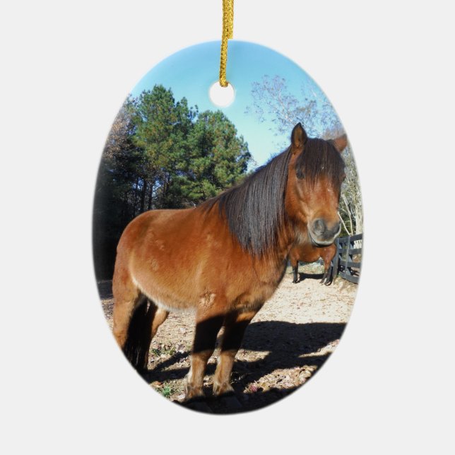 Brown pony turquoise Sky Ceramic Tree Decoration (Front)