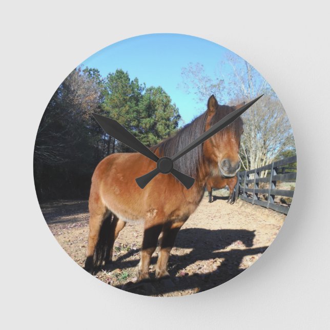 Brown pony turquoise Sky Round Clock (Front)