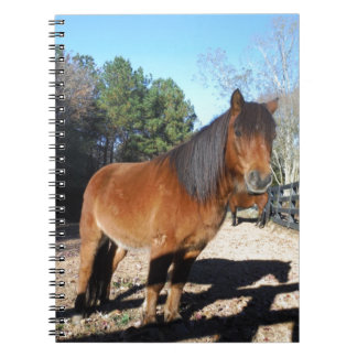 Brown pony turquoise Sky Spiral Notebook