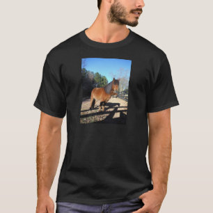 Brown pony turquoise Sky T-Shirt