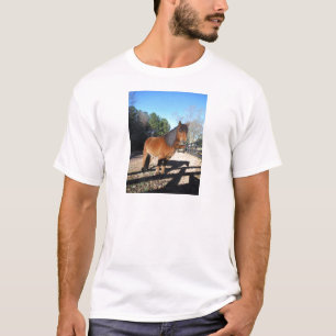 Brown pony turquoise Sky T-Shirt