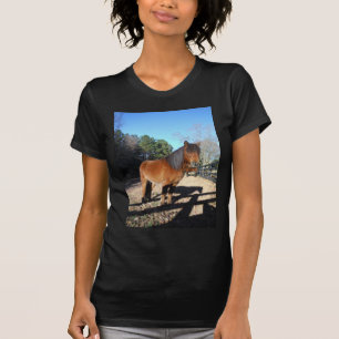 Brown pony turquoise Sky T-Shirt