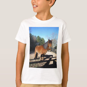 Brown pony turquoise Sky T-Shirt