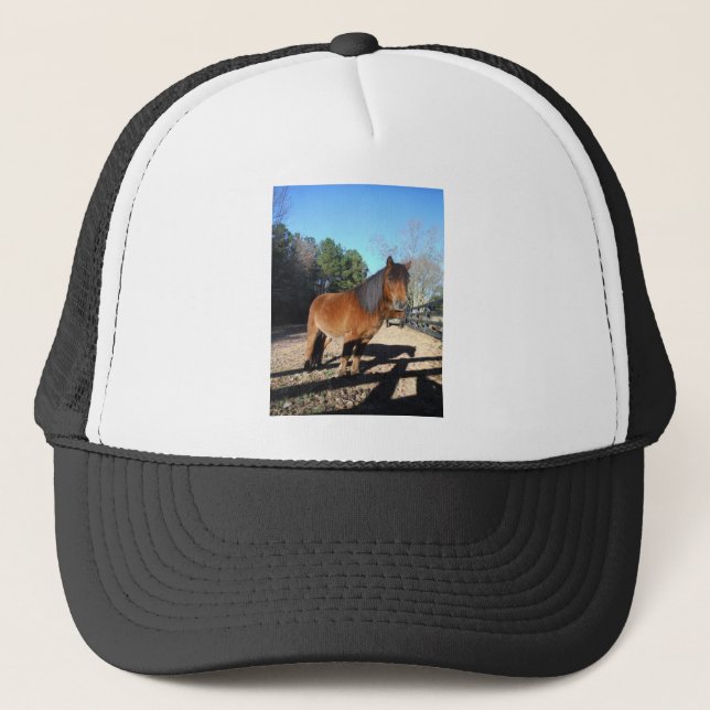 Brown pony turquoise Sky Trucker Hat (Front)