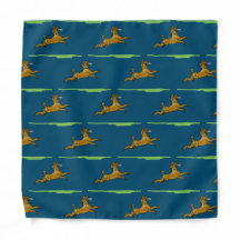 Brown Poodle with Frisbee 