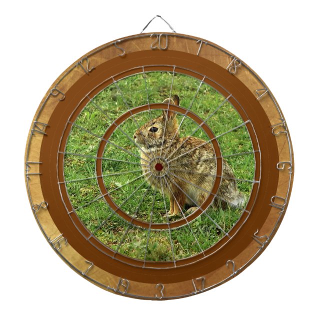 Brown Rabbit Dartboard (Front)