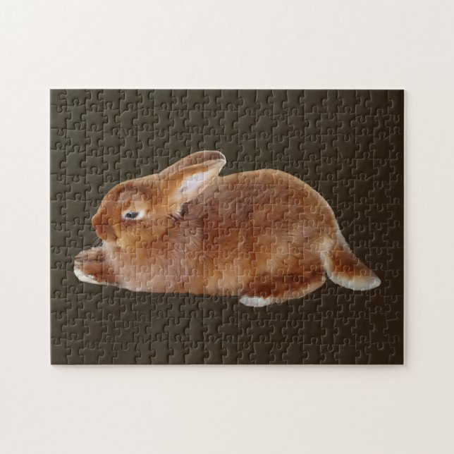 Brown Rabbit Jigsaw Puzzle (Horizontal)