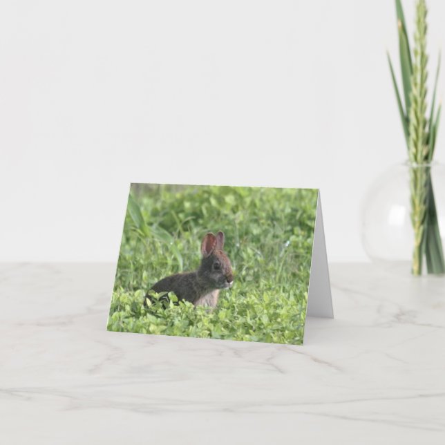  Brown Rabbit Photo Blank Note Card  (Front)