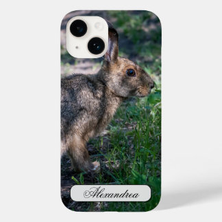 Brown Rabbit, Resting in Nature Case-Mate iPhone 14 Case