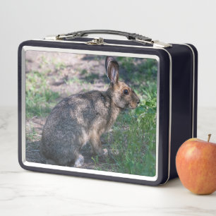 Brown Rabbit, Resting in Nature Metal Lunch Box