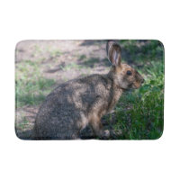 Brown Rabbit, Resting in Nature, Photography