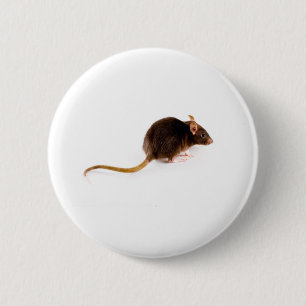 Brown Rat 6 Cm Round Badge