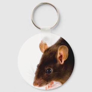 Brown Rat Key Ring