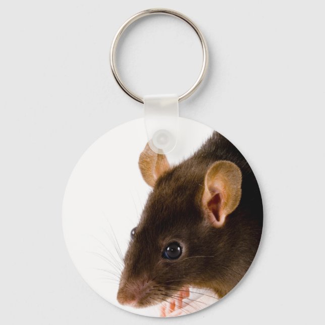 Brown Rat Key Ring (Front)