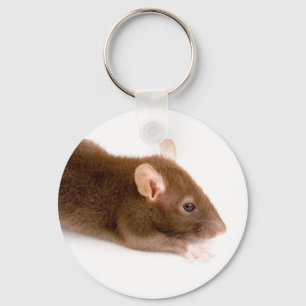 Brown Rat Key Ring