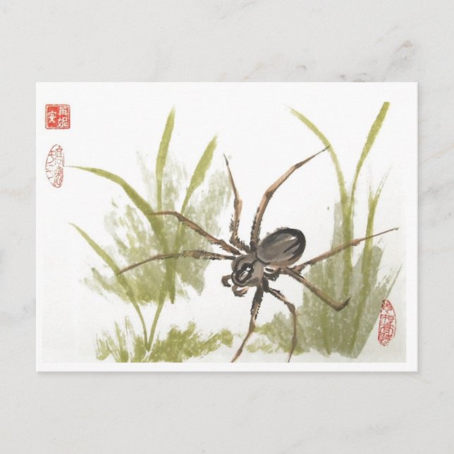 Brown Recluse Spider on White Postcard (Front)
