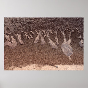 Brown sand poster