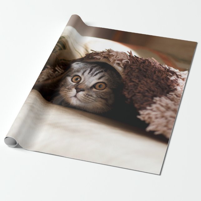 BROWN SCOTTISH FOLD IN BROWN THICK-PILE BLANKET WRAPPING PAPER (Unrolled)